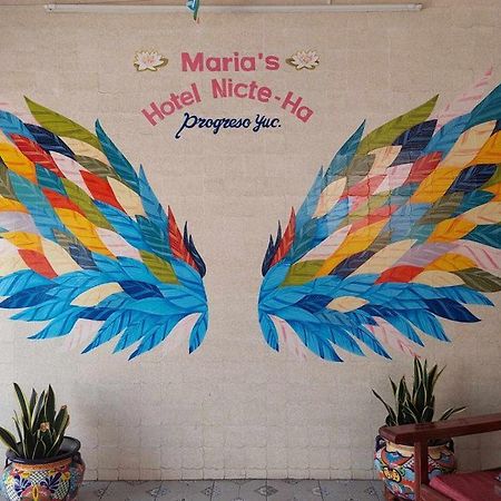 Hotel Maria'S Nicte Ha بروغريسو المظهر الخارجي الصورة